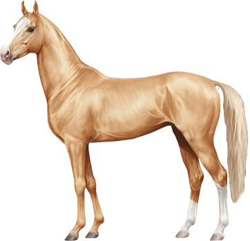 Akhal Teke in Horse Reality