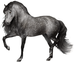 Andalusian in Horse Reality