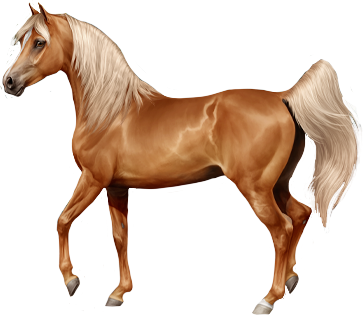 Arabian in Horse Reality