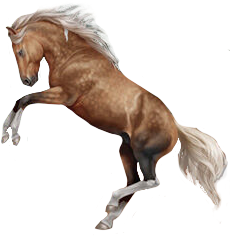 Brumby in Horse Reality