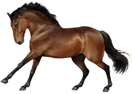 Cleveland Bay in Horse Reality