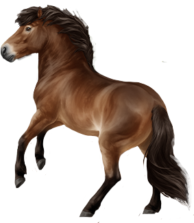 Exmoor Pony in Horse Reality
