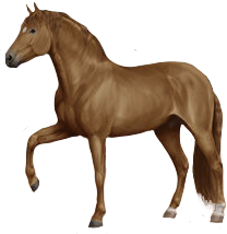 Finnhorse in Horse Reality