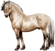 Fjord in Horse Reality