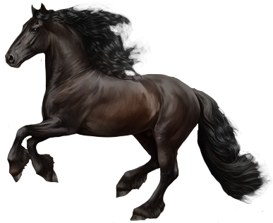 Friesian in Horse Reality