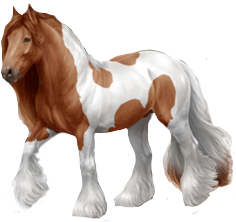 Irish Cob in Horse Reality