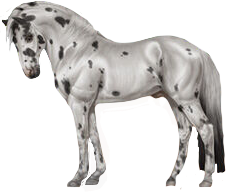Knabstrupper in Horse Reality
