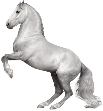 Lipizzaner in Horse Reality