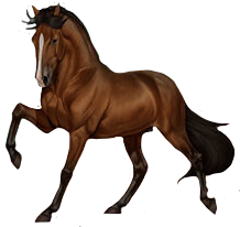 Lusitano in Horse Reality