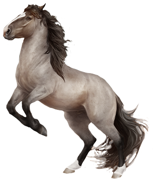 Mongolian Horse in Horse Reality