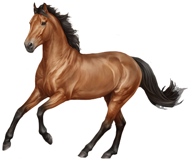 Namib Desert Horse in Horse Reality