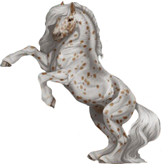 Noriker in Horse Reality