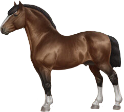 Norman Cob in Horse Reality