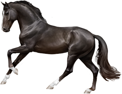 Oldenburg in Horse Reality