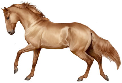 Pantaneiro in Horse Reality