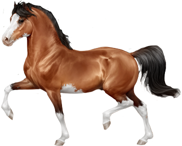 Welsh Pony in Horse Reality
