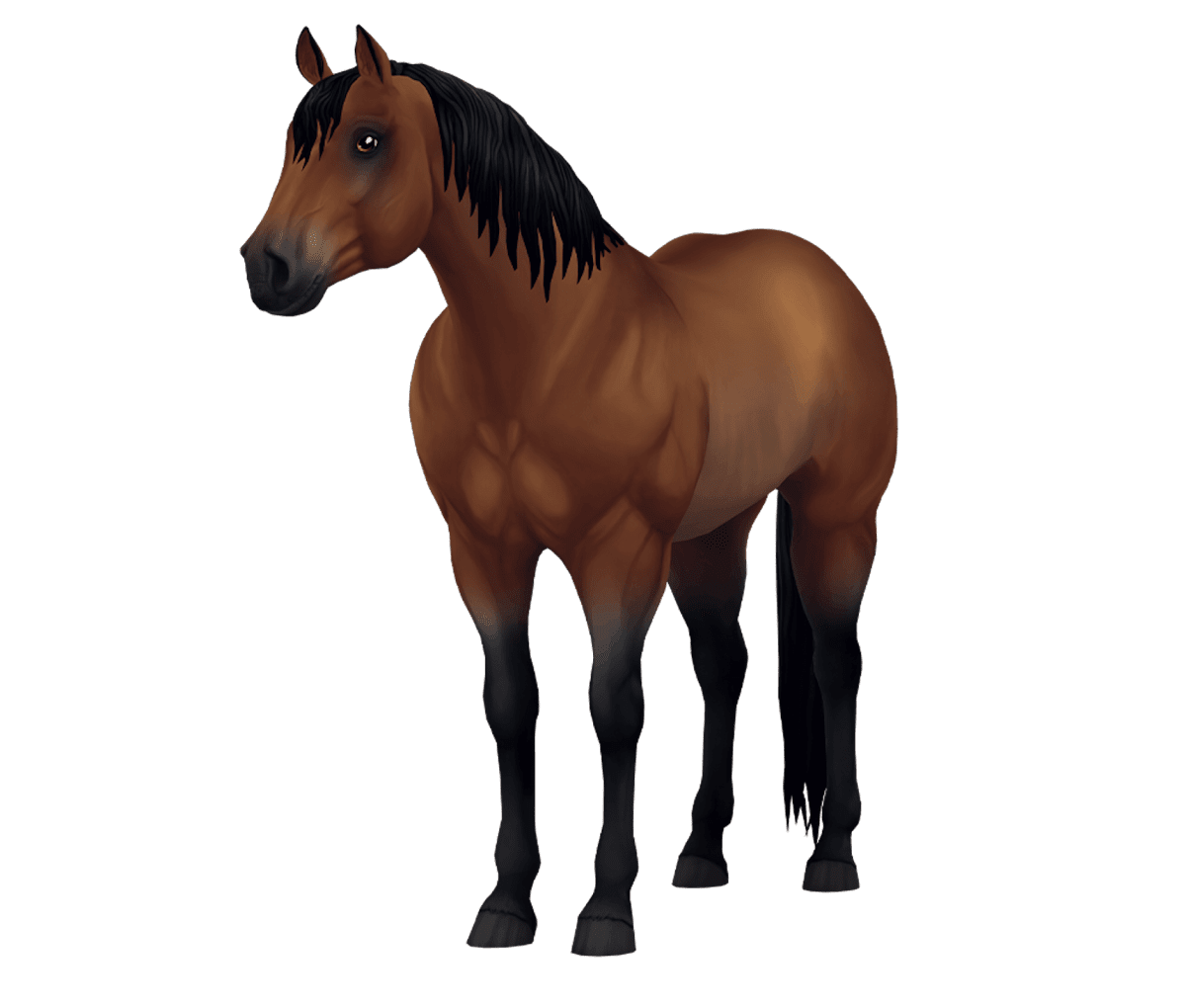 Jorvegian Quarter Horse in Star Stable Online