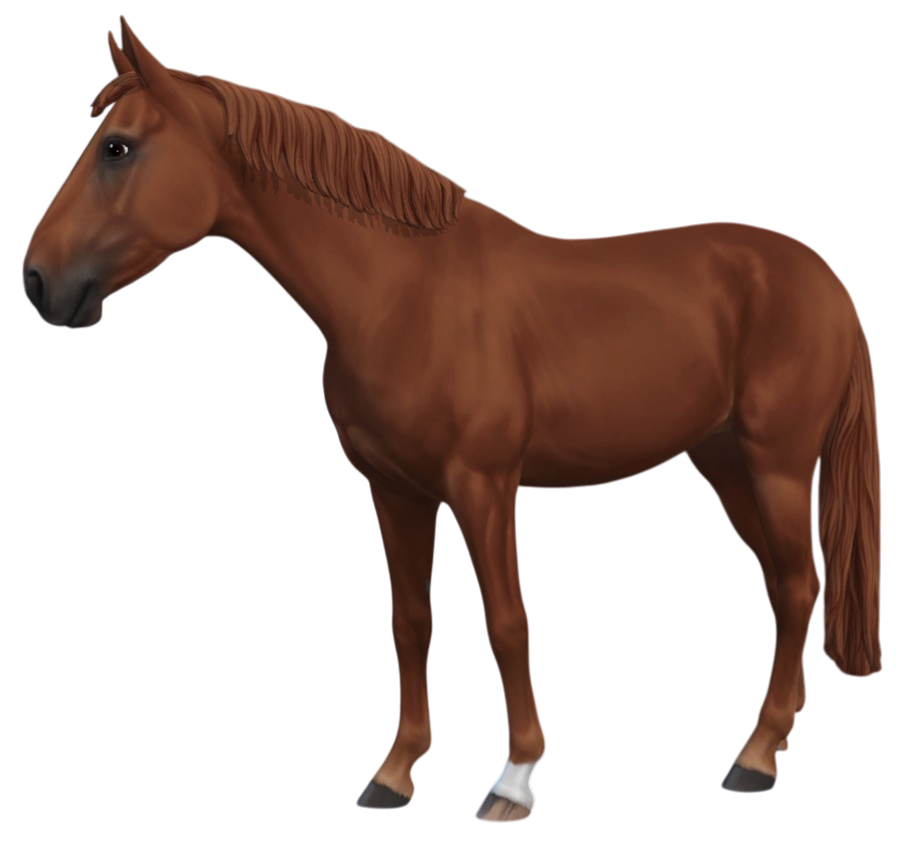 Swedish Warmblood in Star Stable Online