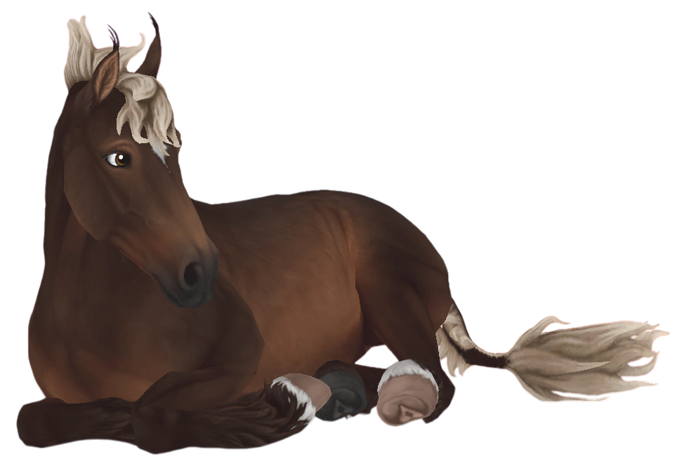 Jorvik Wild Horse in Star Stable Online