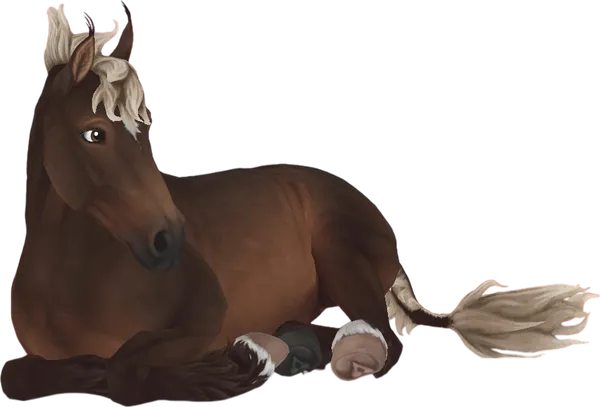 Jorvik Wild Horse, Dark Silver Bay