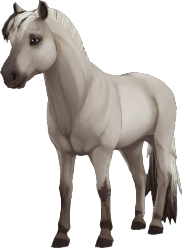 Fjord in Star Stable Online