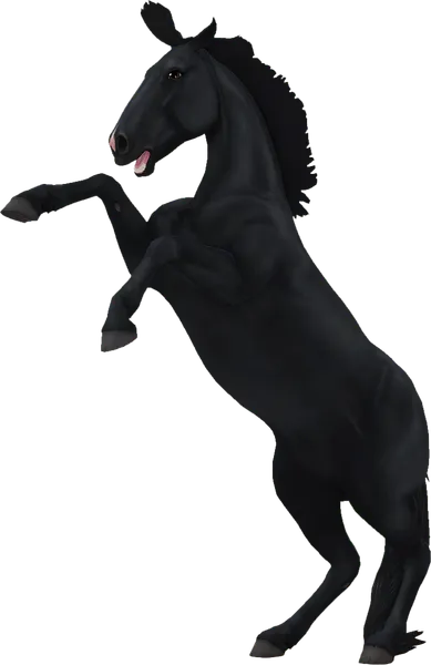 Mustang, Black