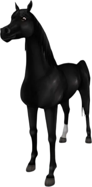 Arabian Thoroughbred, Black