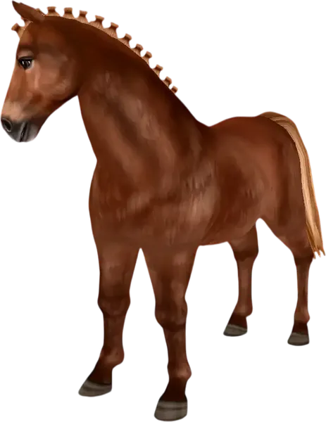 Icelandic Horse, Flaxen Chestnut