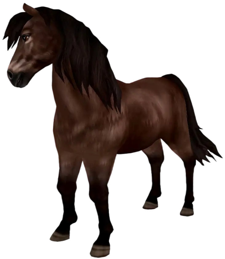 Icelandic Horse in Star Stable Online