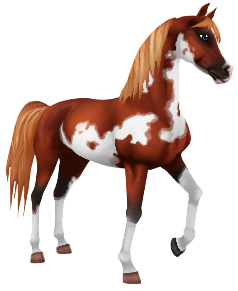 Pintabian in Star Stable Online