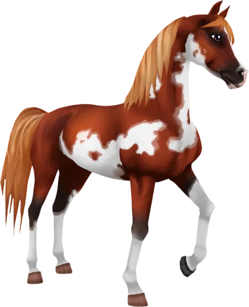 Pintabian, Flaxen Chestnut Overo