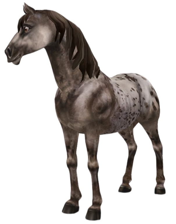 Appaloosa in Star Stable Online