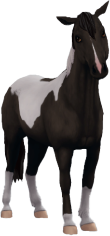 Chincoteague Pony in Star Stable Online