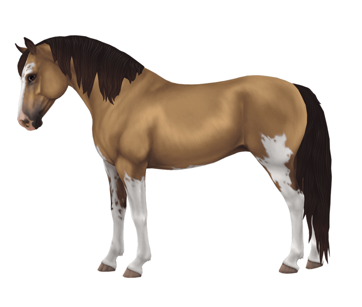 Morgan in Star Stable Online