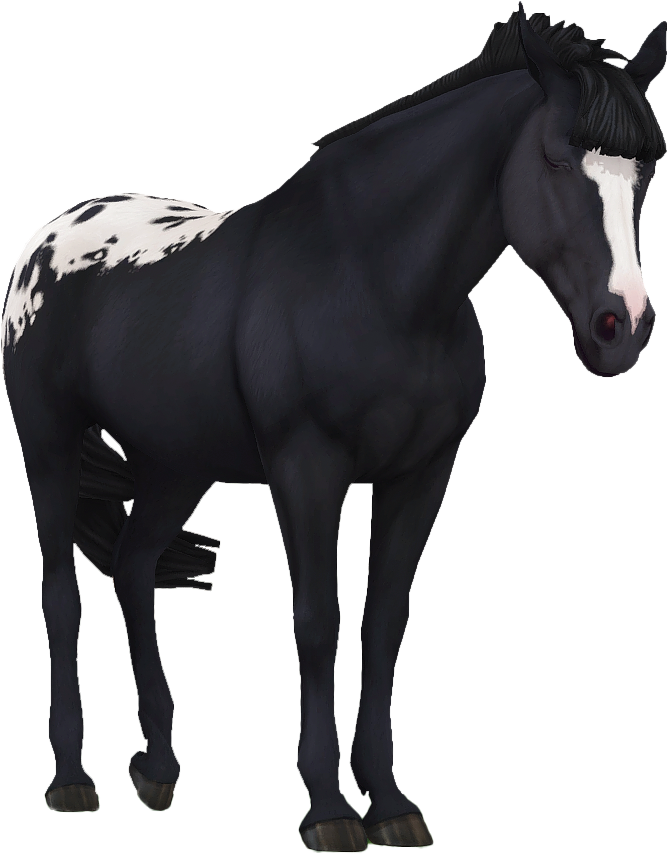 Appaloosa in Star Stable Online