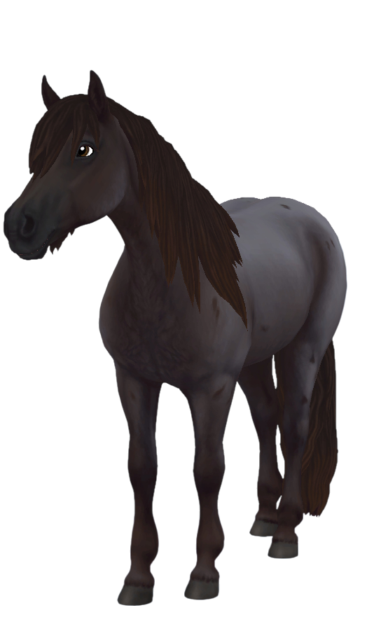 Haflinger in Star Stable Online