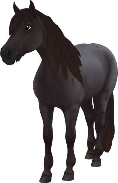 Haflinger, Liver Roan