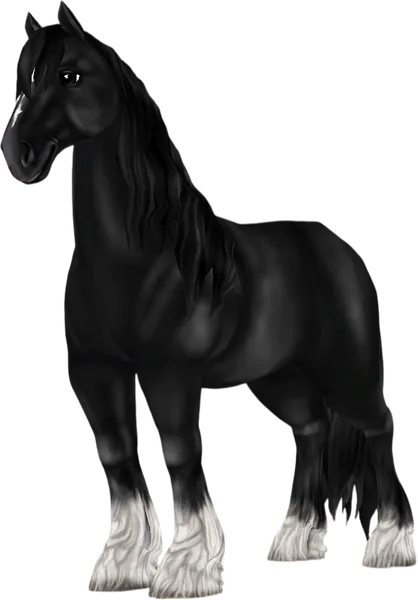 Shire, Black