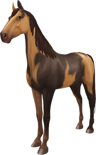 American Saddlebred, Amber/Classic Champagne Mosaic