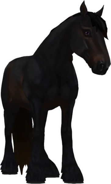 Clydesdale, Seal Bay