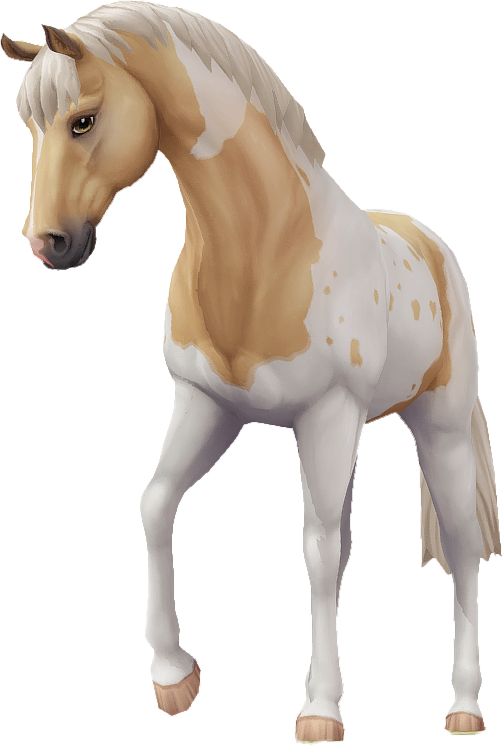 Jorvik Warmblood in Star Stable Online