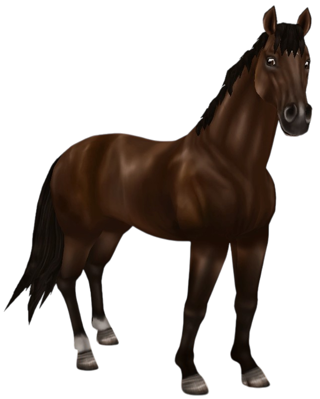English Thoroughbred in Star Stable Online