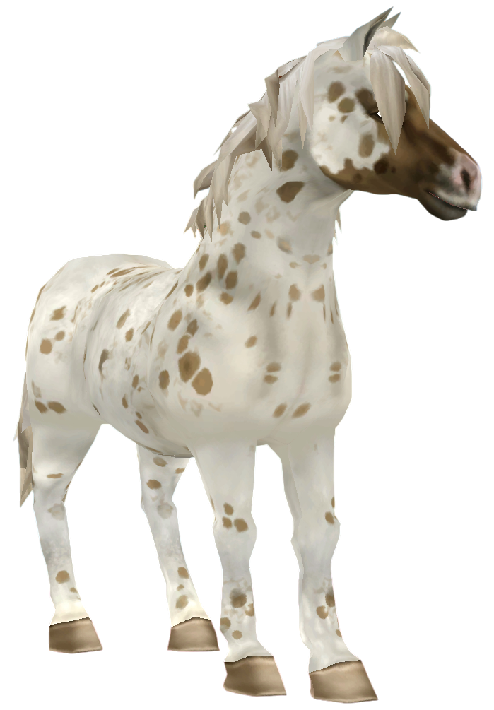 Jorvik Pony in Star Stable Online