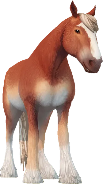 Clydesdale, Flaxen Chestnut Pangare