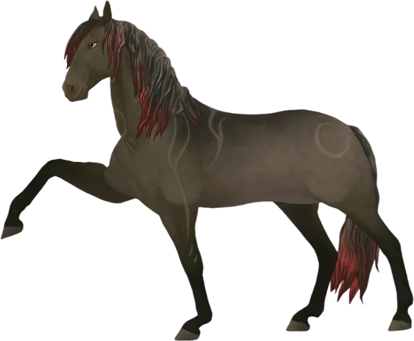 Jorvik Andalusian, Dapple Faded Black