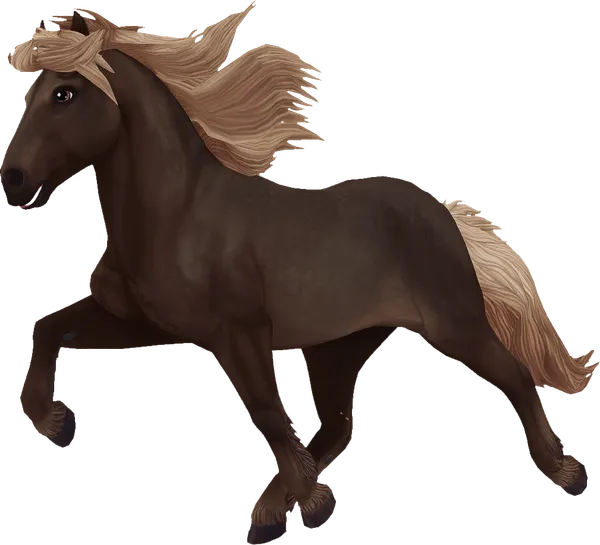 Icelandic Horse, Silver Dapple
