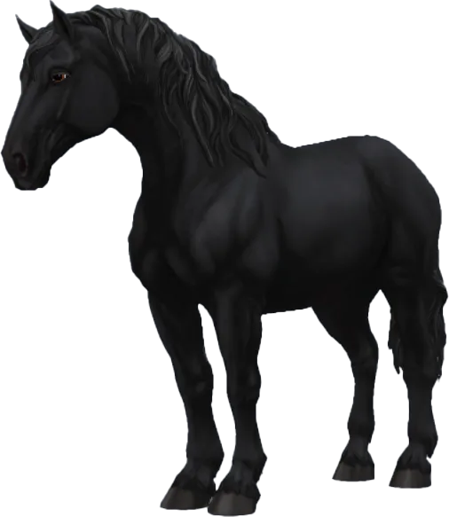 Percheron, Black