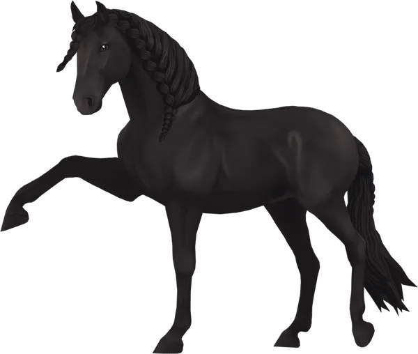 Jorvik Andalusian, Black