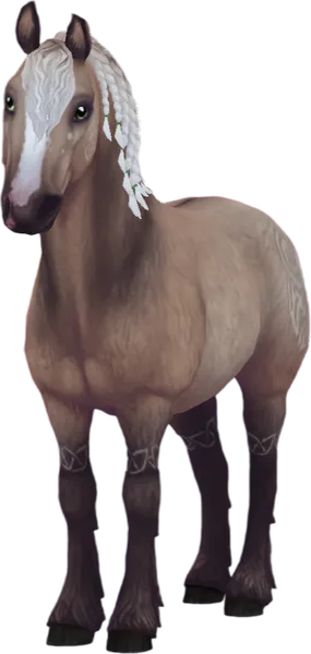 North Swedish Horse, Sooty Dunalino