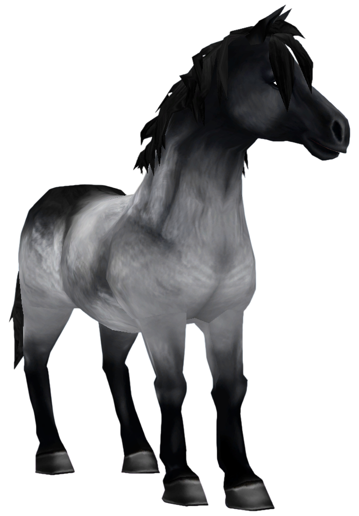 Jorvik Pony in Star Stable Online